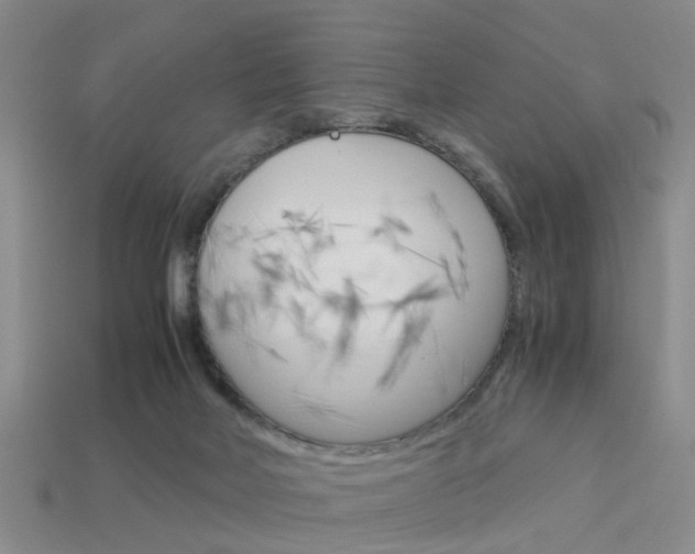 X0000114090026200910051219