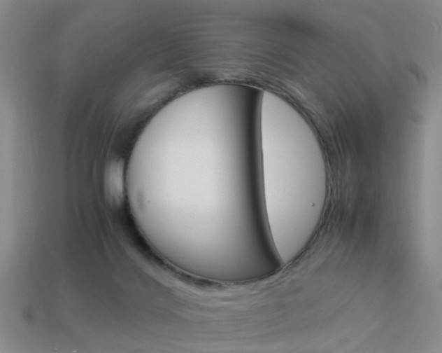 X0000114090028200910051219