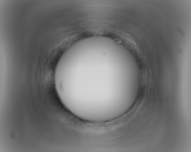 X0000114090029200910051219