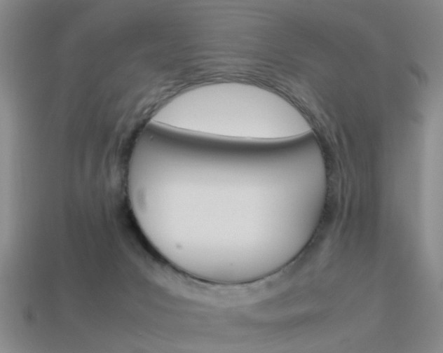 X0000114090031200910051219