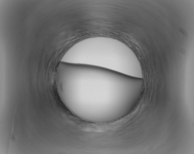 X0000114090033200910051219