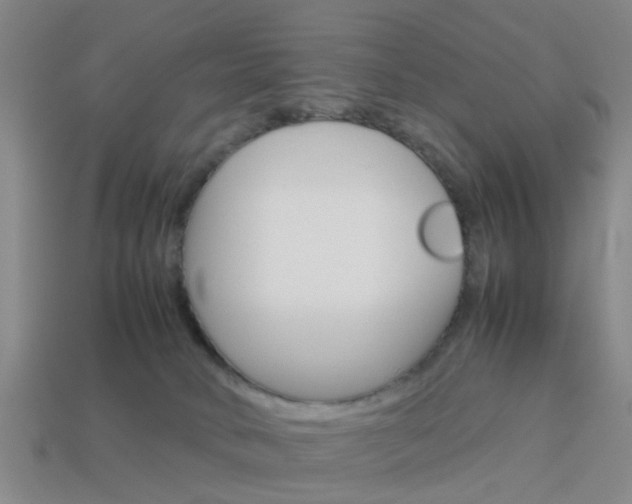 X0000114090034200910051219