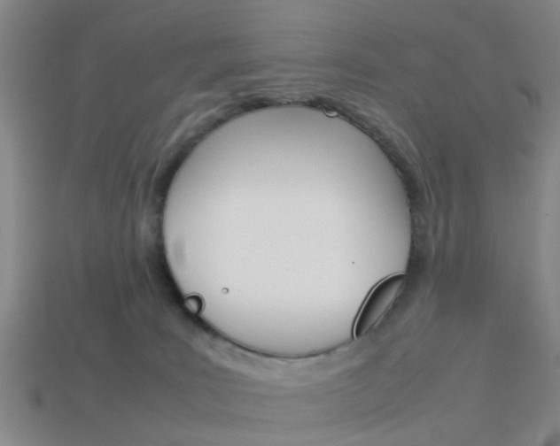X0000114090035200910051219