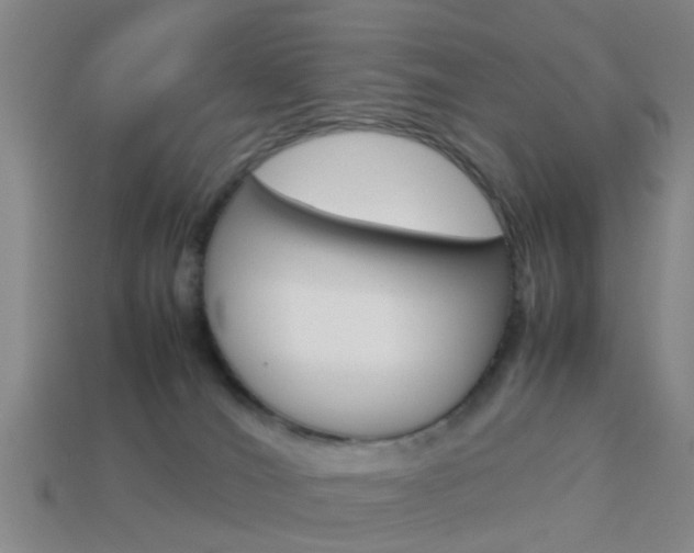 X0000114090036200910051219