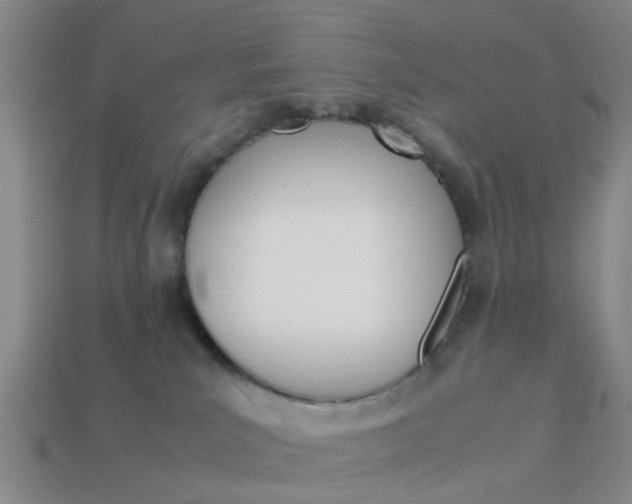 X0000114090039200910051219