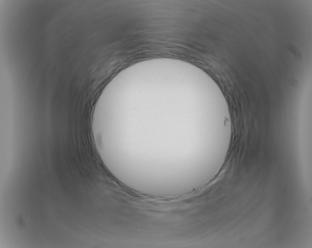 X0000114090041200910051219