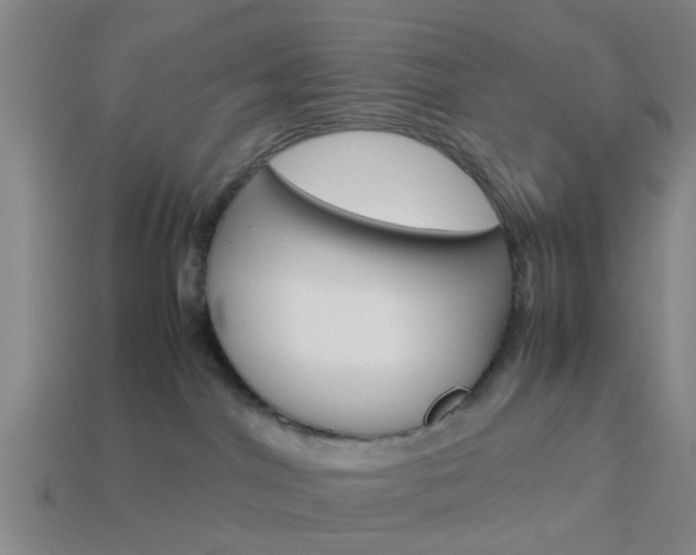 X0000114090044200910051219