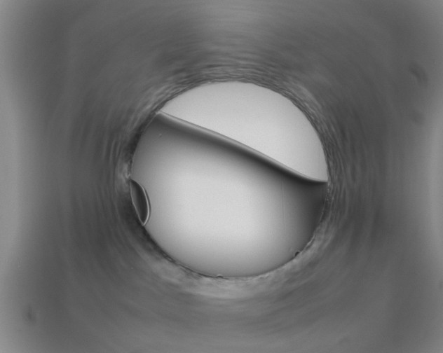 X0000114090045200910051219
