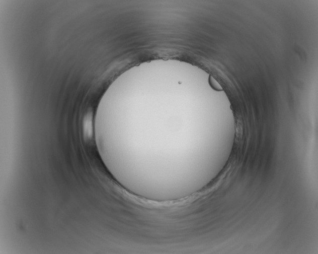 X0000114090046200910051219