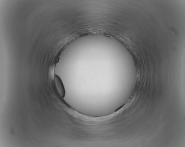 X0000114090047200910051219