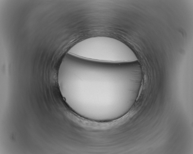 X0000114090048200910051219