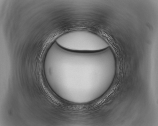 X0000114090049200910051218