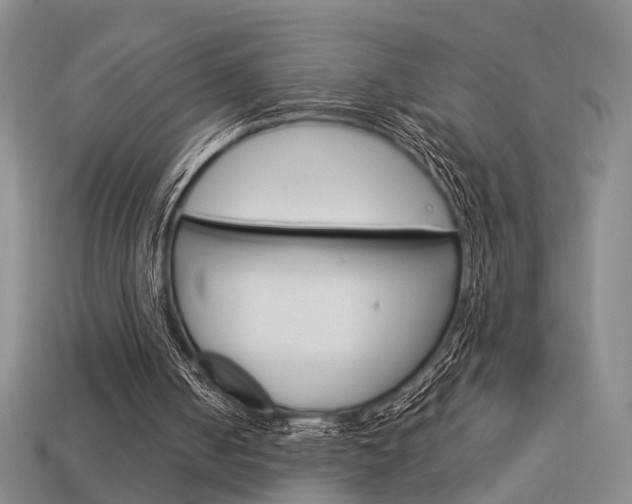 X0000114090050200910051218