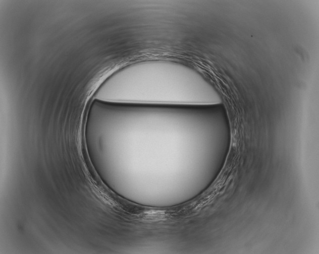 X0000114090052200910051218