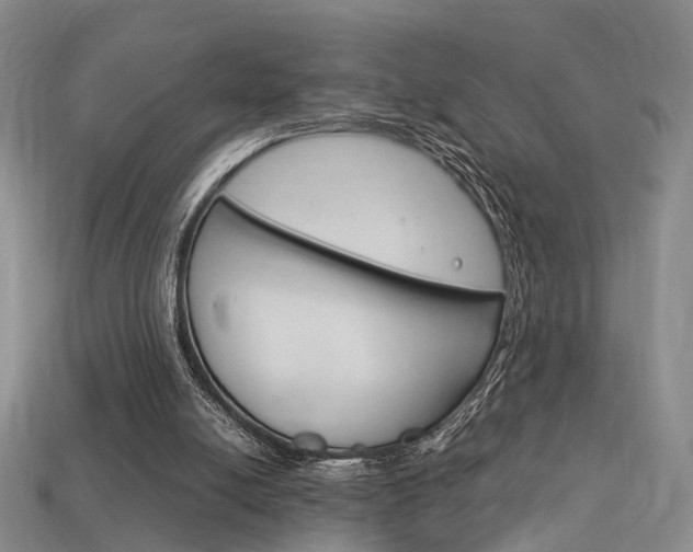 X0000114090054200910051218