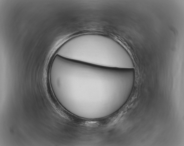 X0000114090055200910051218