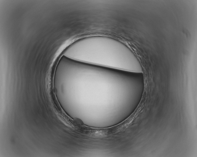 X0000114090056200910051218