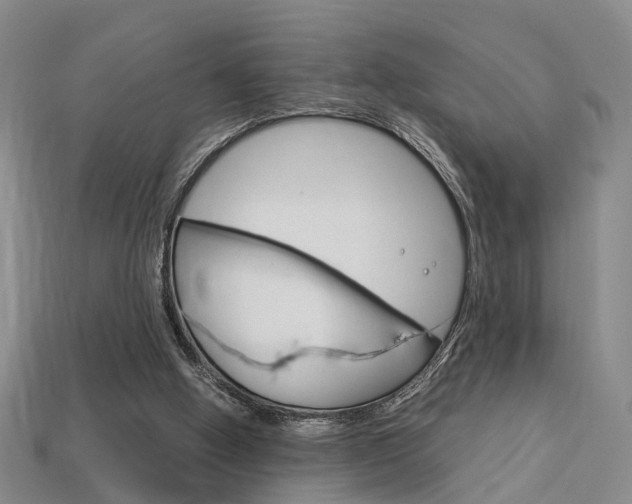 X0000114090058200910051218