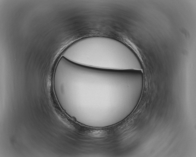 X0000114090059200910051218