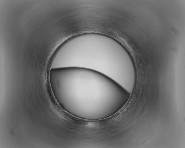 X0000114090060200910051218