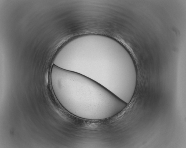 X0000114090062200910051218