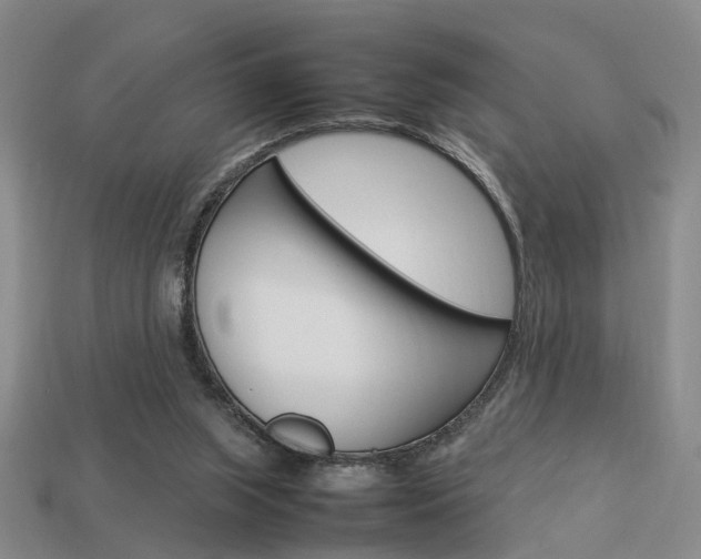 X0000114090063200910051218