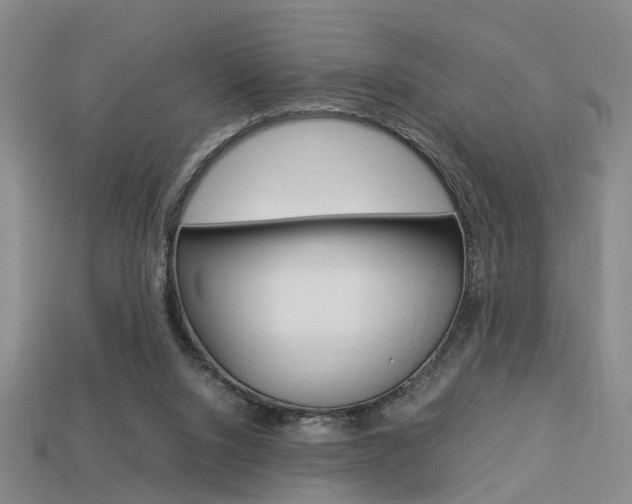X0000114090064200910051218