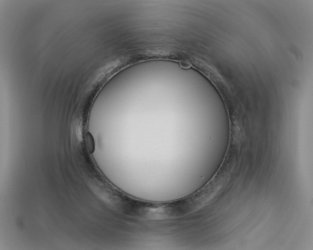 X0000114090068200910051218