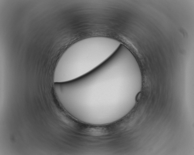 X0000114090069200910051218