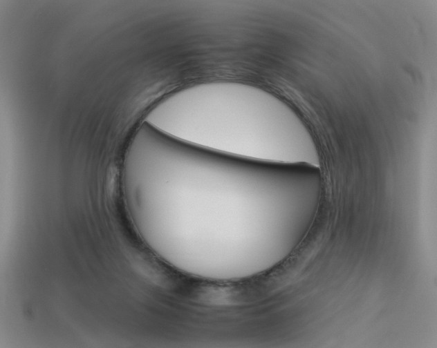 X0000114090071200910051218