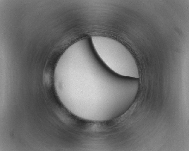 X0000114090074200910051219