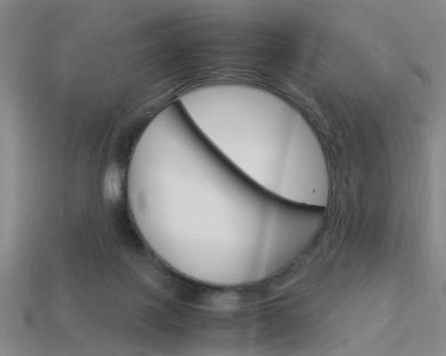X0000114090075200910051219