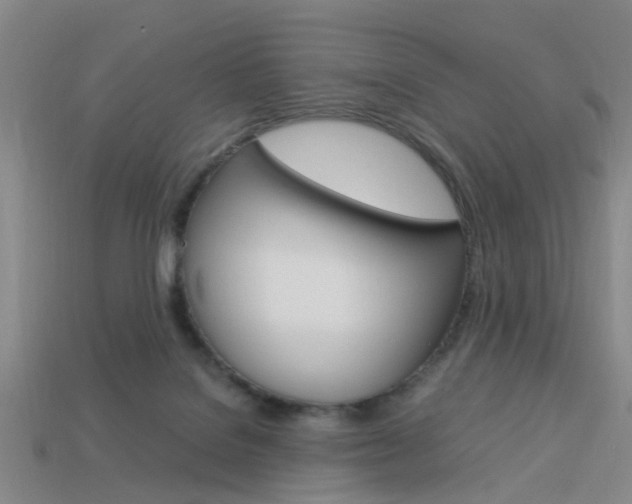 X0000114090076200910051219