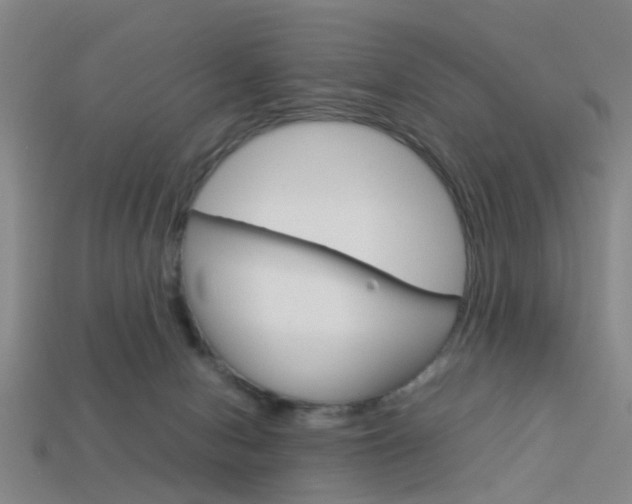 X0000114090078200910051219