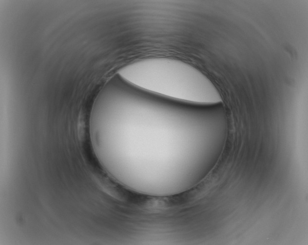 X0000114090080200910051219
