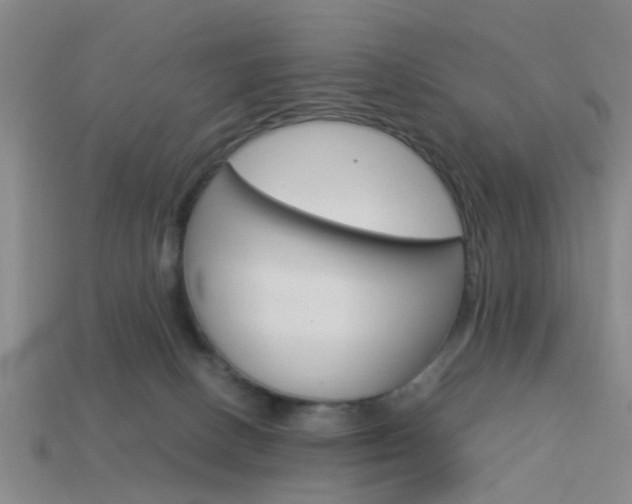 X0000114090082200910051219