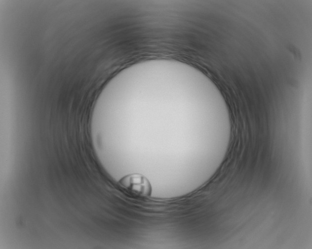 X0000114090084200910051219