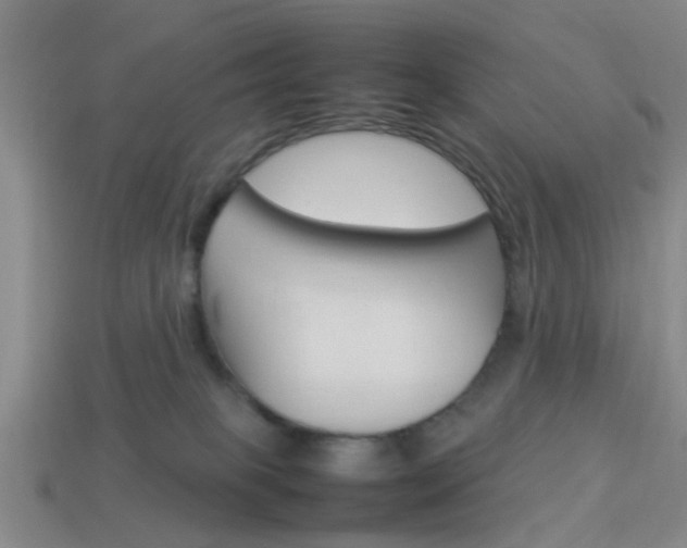 X0000114090085200910051219