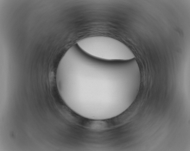 X0000114090087200910051219