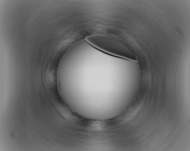 X0000114090088200910051219