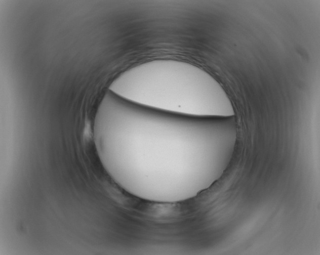 X0000114090089200910051219