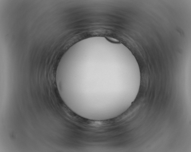 X0000114090091200910051219
