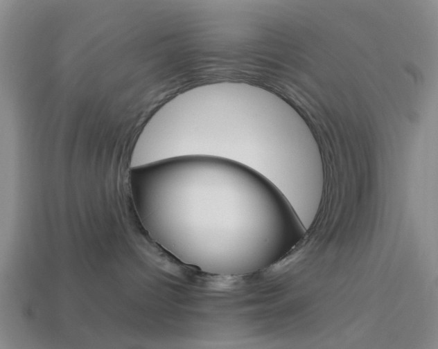 X0000114090096200910051219