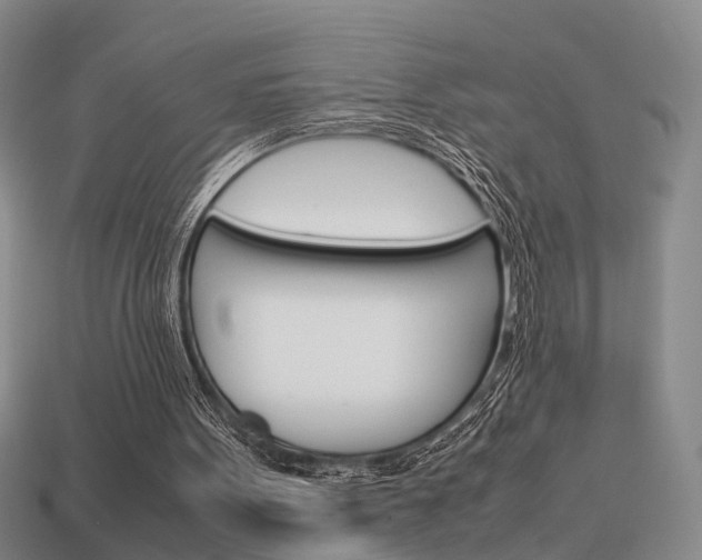 X0000114090099200910051218