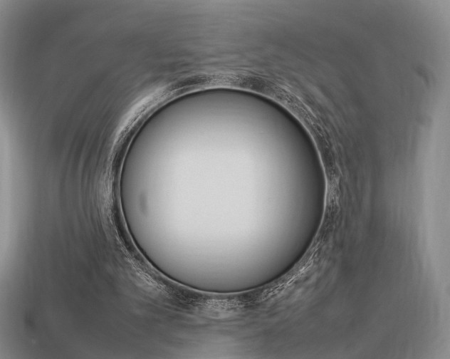 X0000114090101200910051218