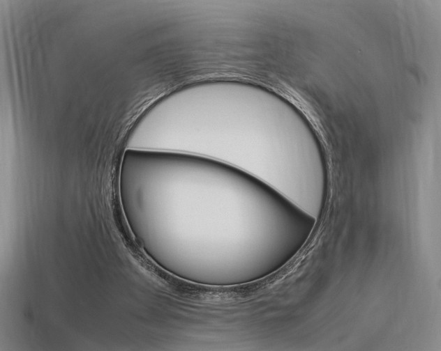 X0000114090105200910051218