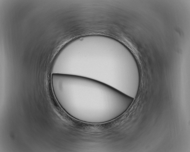 X0000114090107200910051218