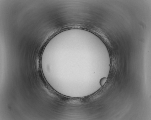 X0000114090110200910051218