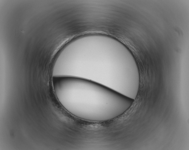X0000114090112200910051218