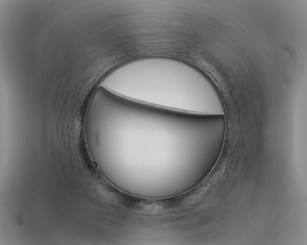 X0000114090113200910051218